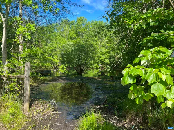 a view of a garden with a tree