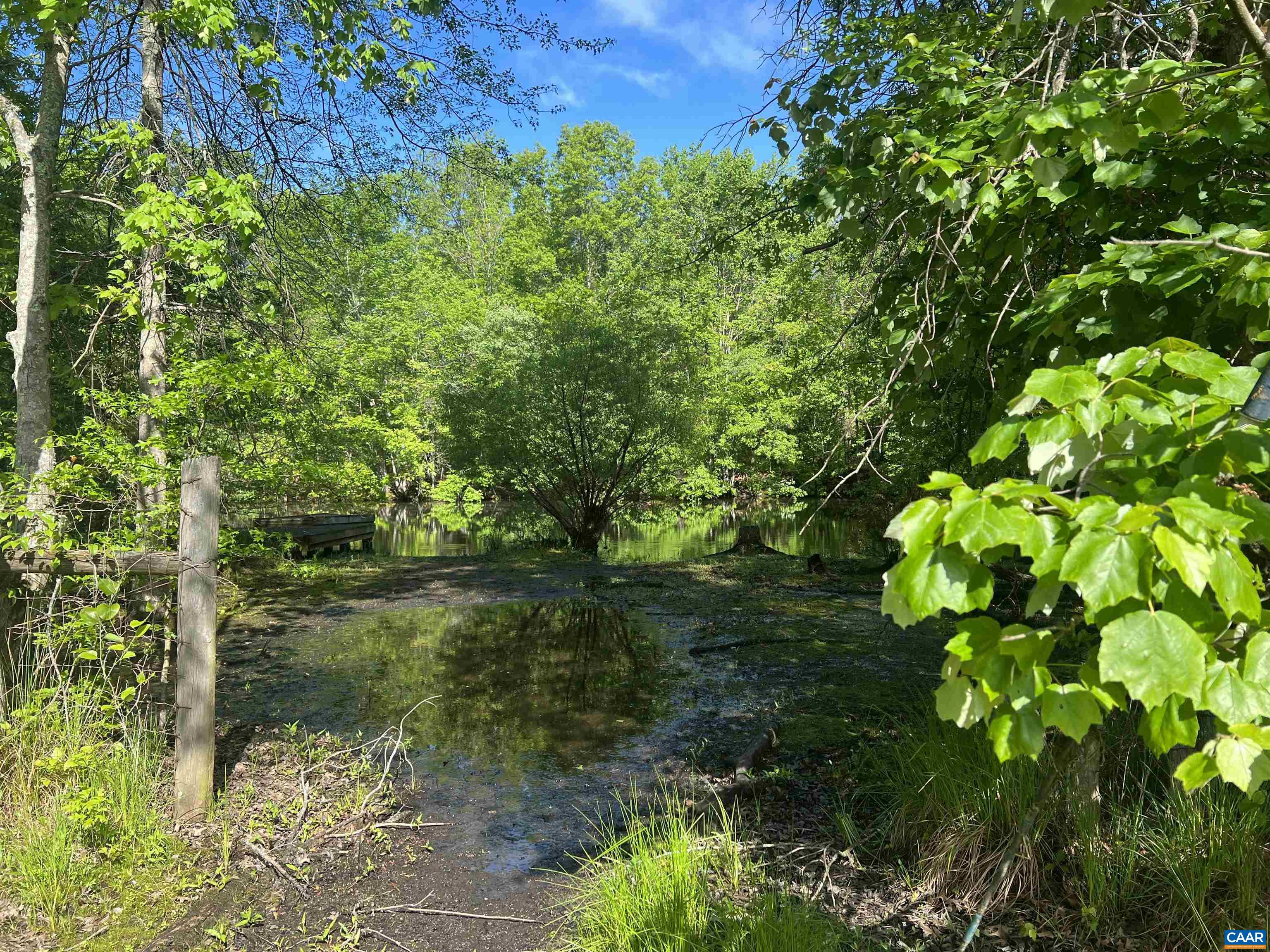 19 Mathews Lane Lyndhurst, VA 22952 - Photo 44 of 70 a view of a garden