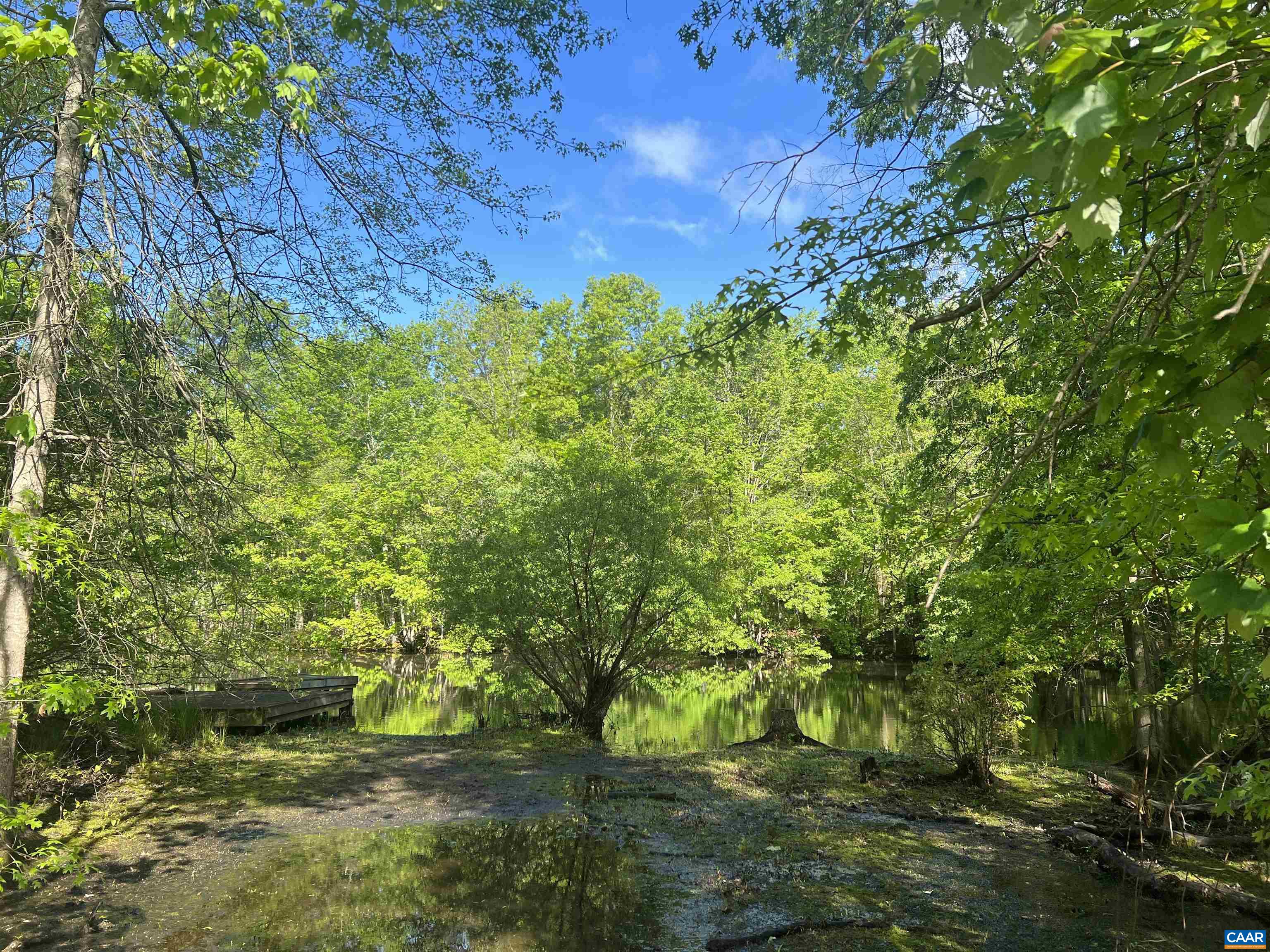 19 Mathews Lane Lyndhurst, VA 22952 - Photo 45 of 70