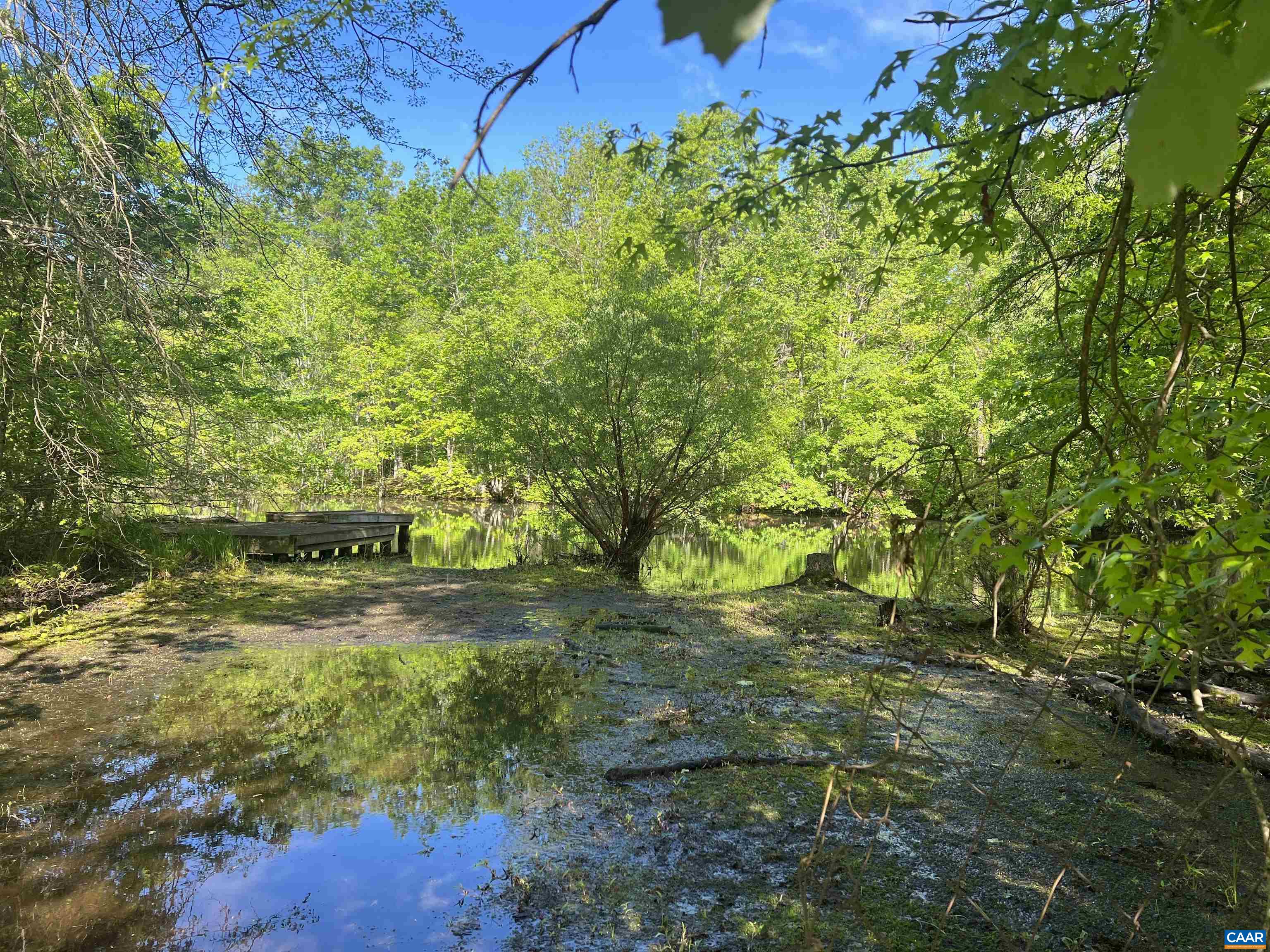 19 Mathews Lane Lyndhurst, VA 22952 - Photo 46 of 70