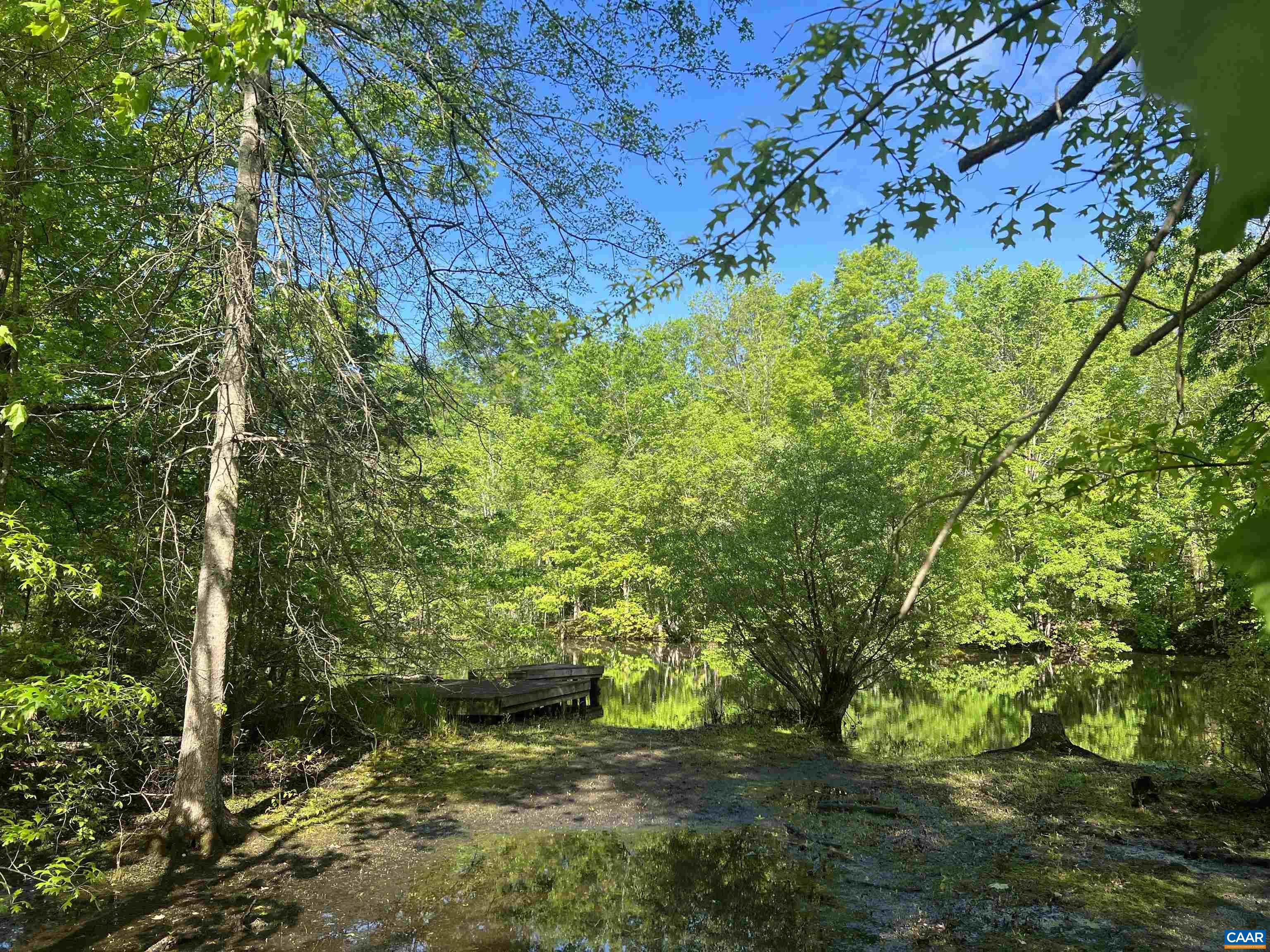 19 Mathews Lane Lyndhurst, VA 22952 - Photo 47 of 70 a backyard of a building with large trees