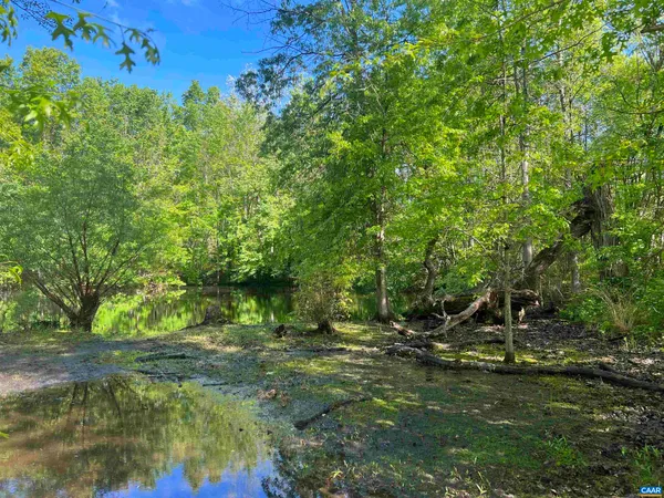 a view of a field with a trees in the background