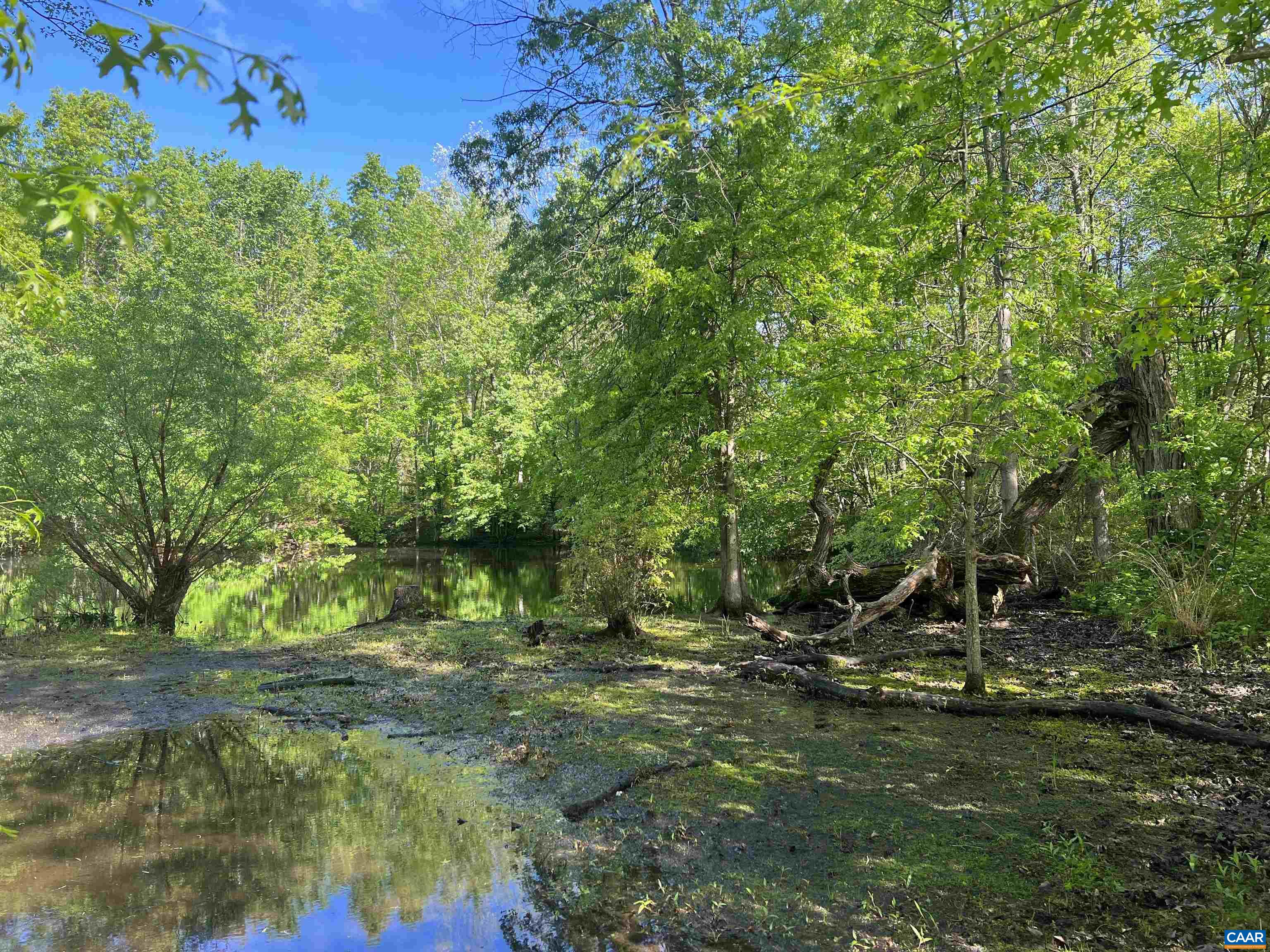 19 Mathews Lane Lyndhurst, VA 22952 - Photo 48 of 70 a backyard of a house with lots of green space
