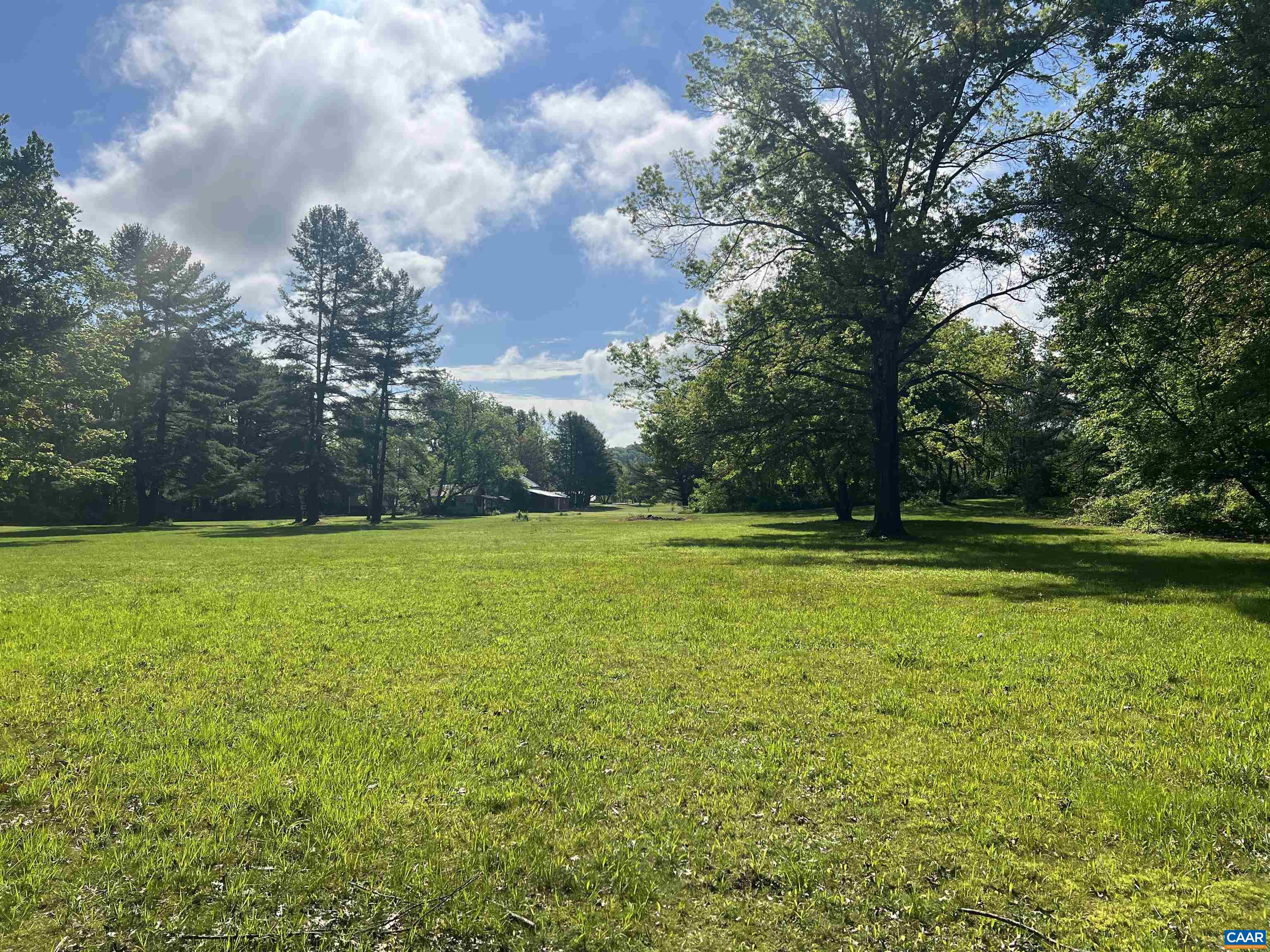 19 Mathews Lane Lyndhurst, VA 22952 - Photo 49 of 70 a view of a yard