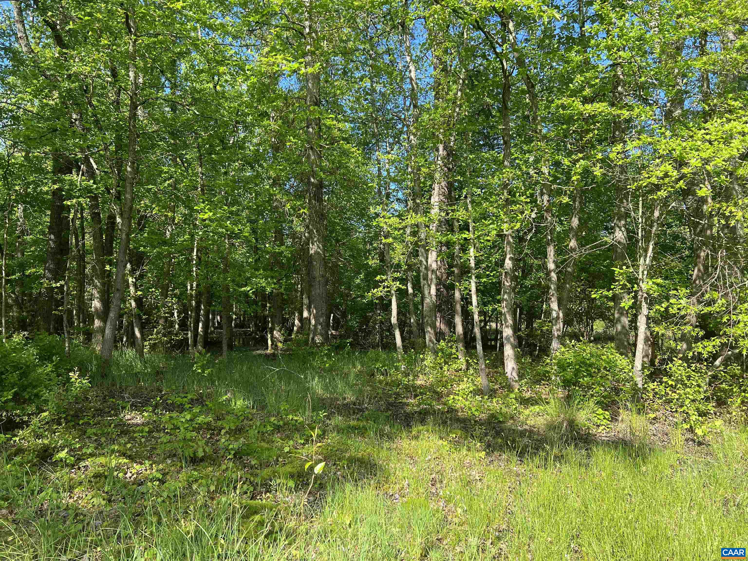19 Mathews Lane Lyndhurst, VA 22952 - Photo 50 of 70 a backyard of a house with lots of green space and fountain