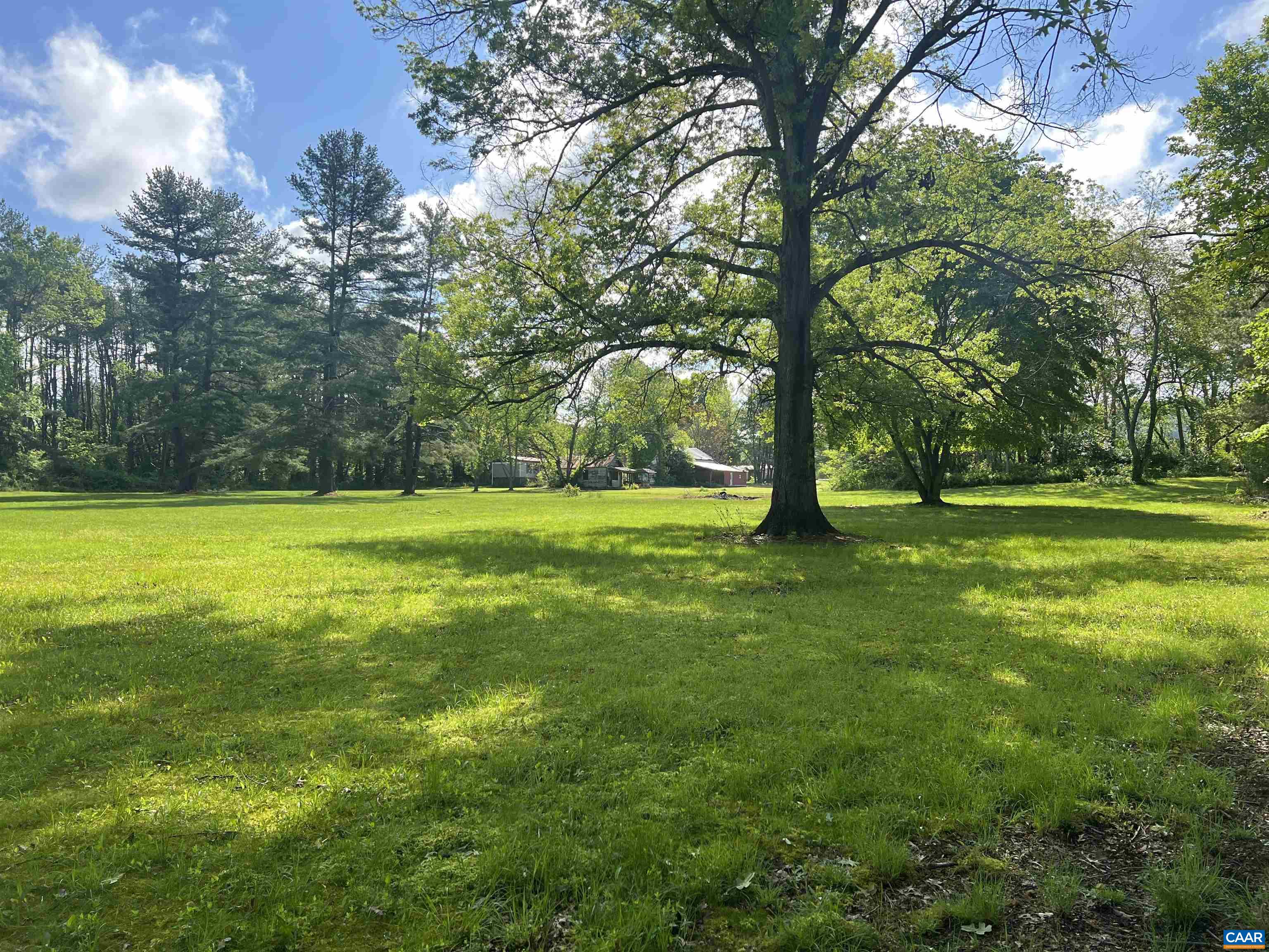 19 Mathews Lane Lyndhurst, VA 22952 - Photo 53 of 70 a view of a park with large trees