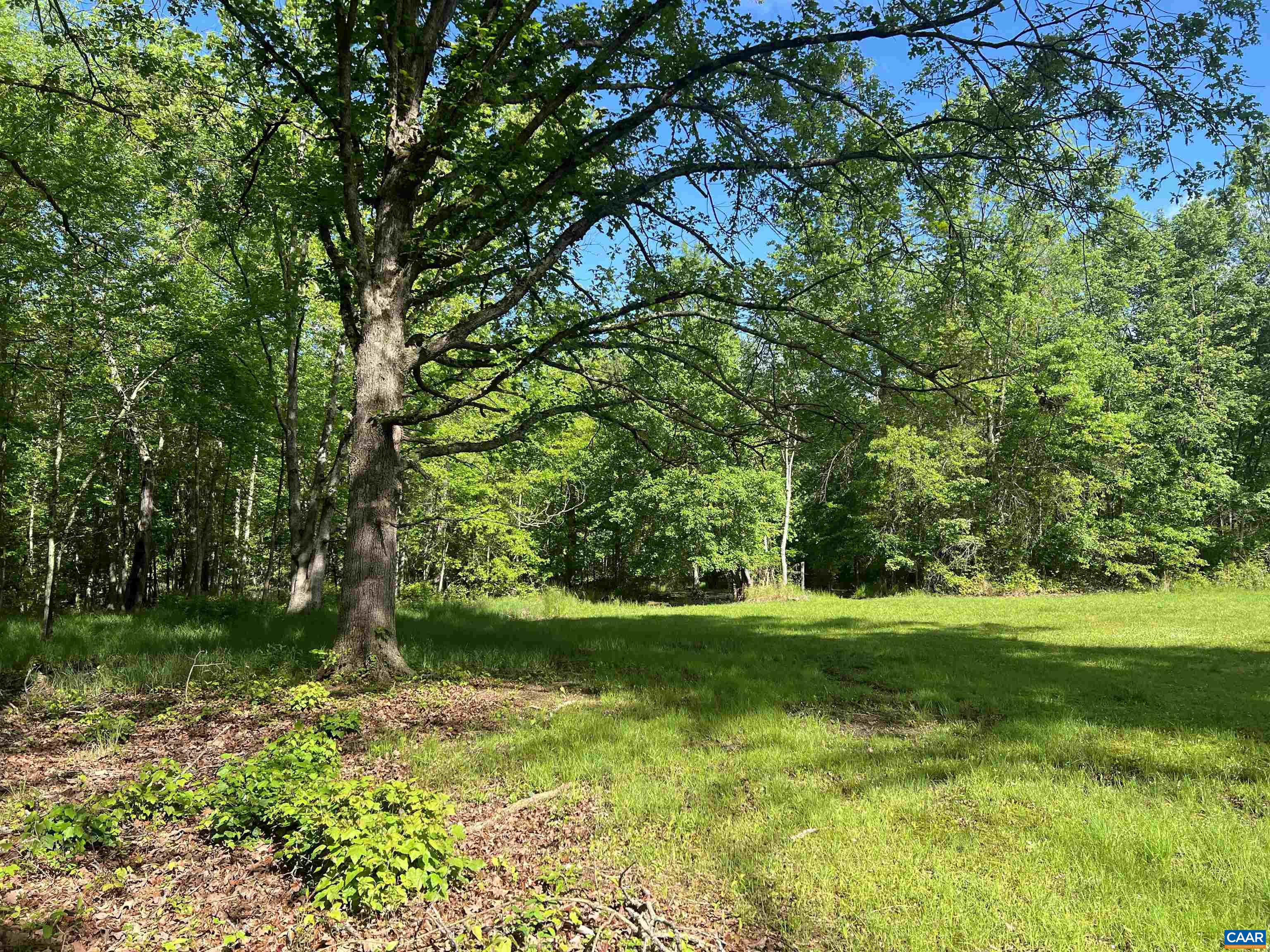 19 Mathews Lane Lyndhurst, VA 22952 - Photo 54 of 70 a view of a grassy field with trees