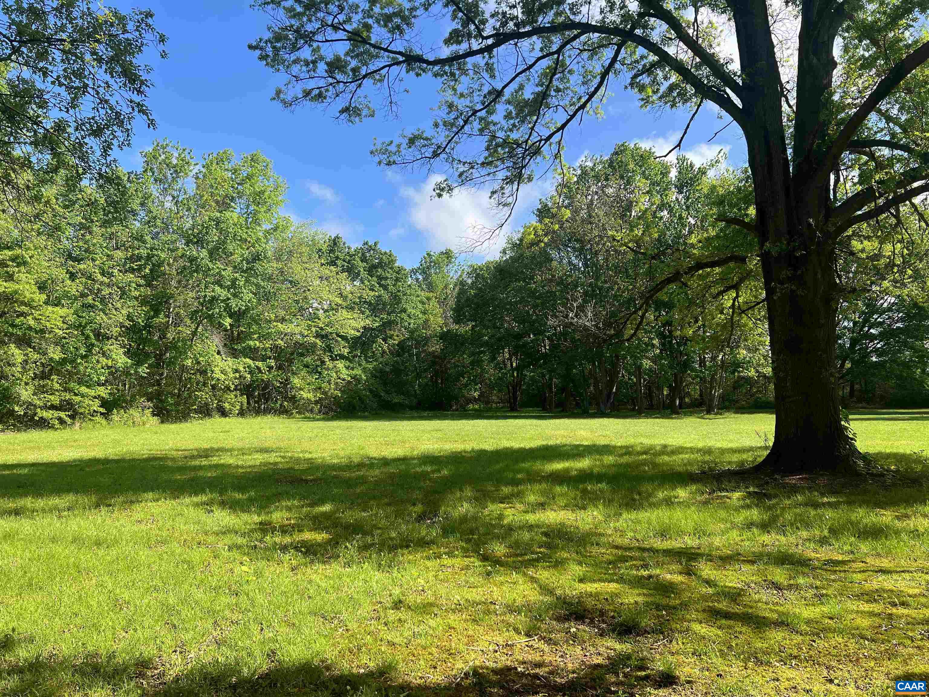 19 Mathews Lane Lyndhurst, VA 22952 - Photo 56 of 70 a view of a grassy field with an trees