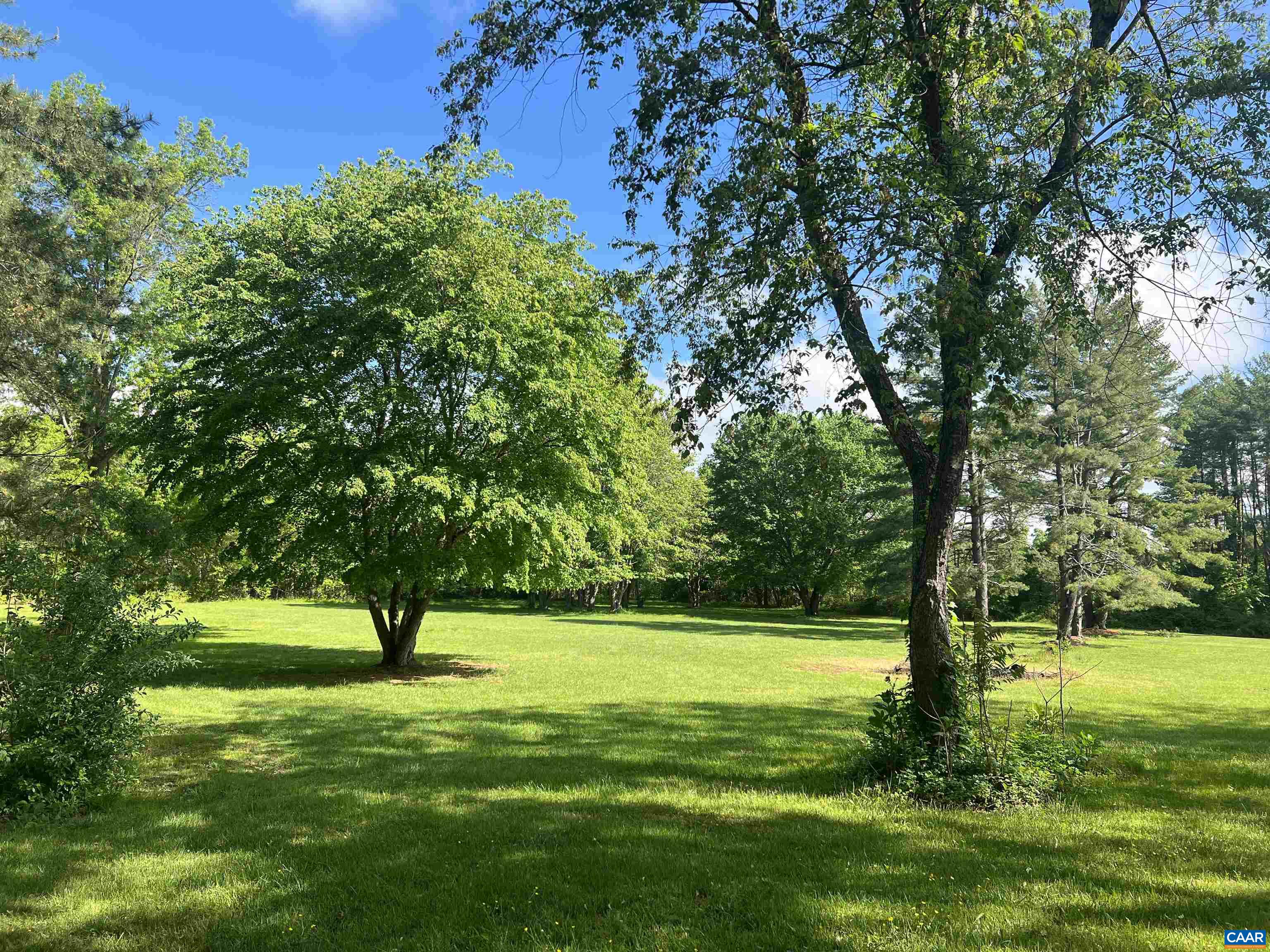 19 Mathews Lane Lyndhurst, VA 22952 - Photo 60 of 70 a view of a garden with a tree