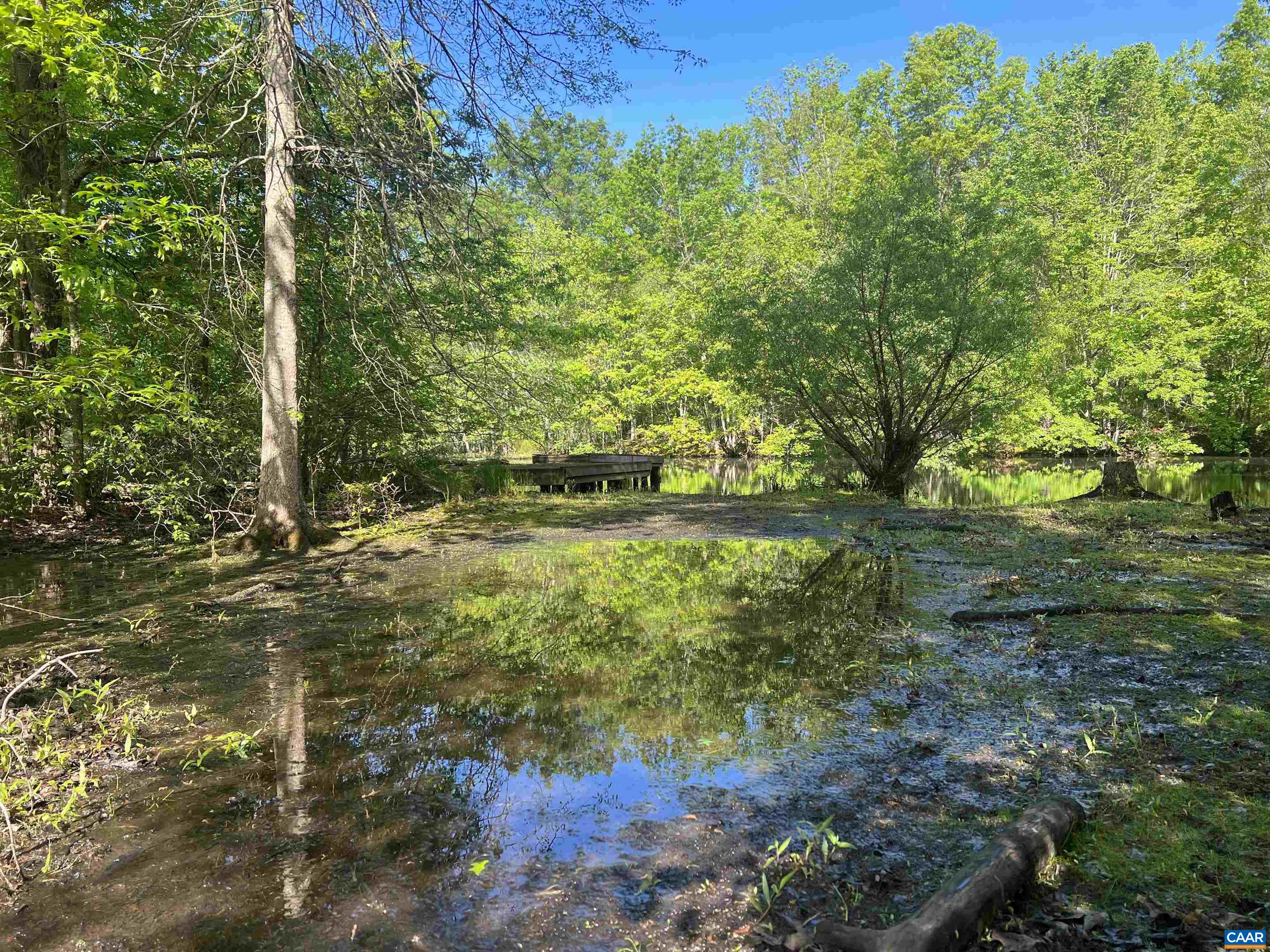 19 Mathews Lane Lyndhurst, VA 22952 - Photo 6 of 70 a view of yard with green space