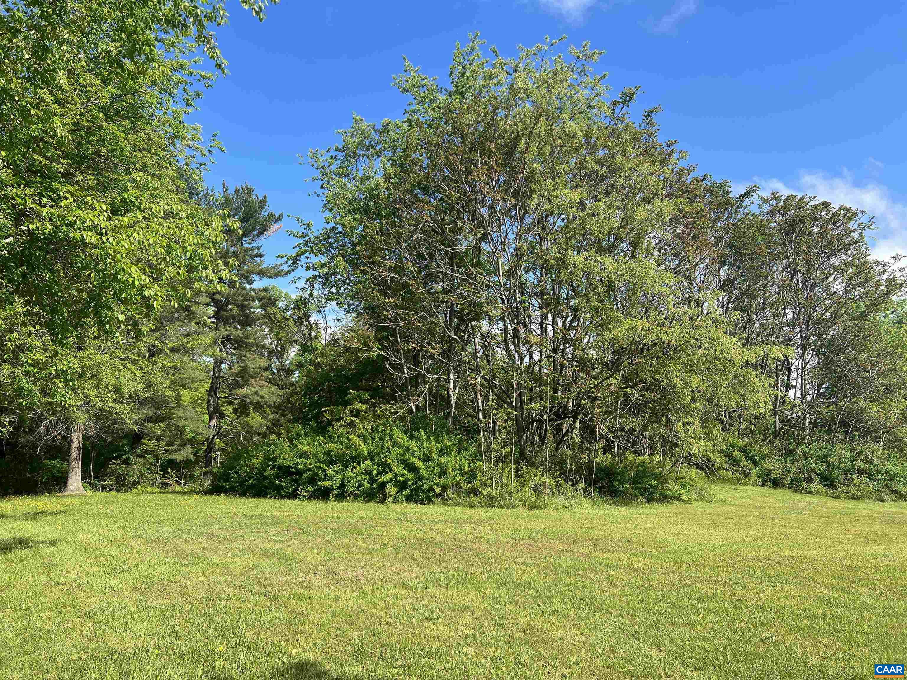 19 Mathews Lane Lyndhurst, VA 22952 - Photo 65 of 70 a view of a field with a trees in the background