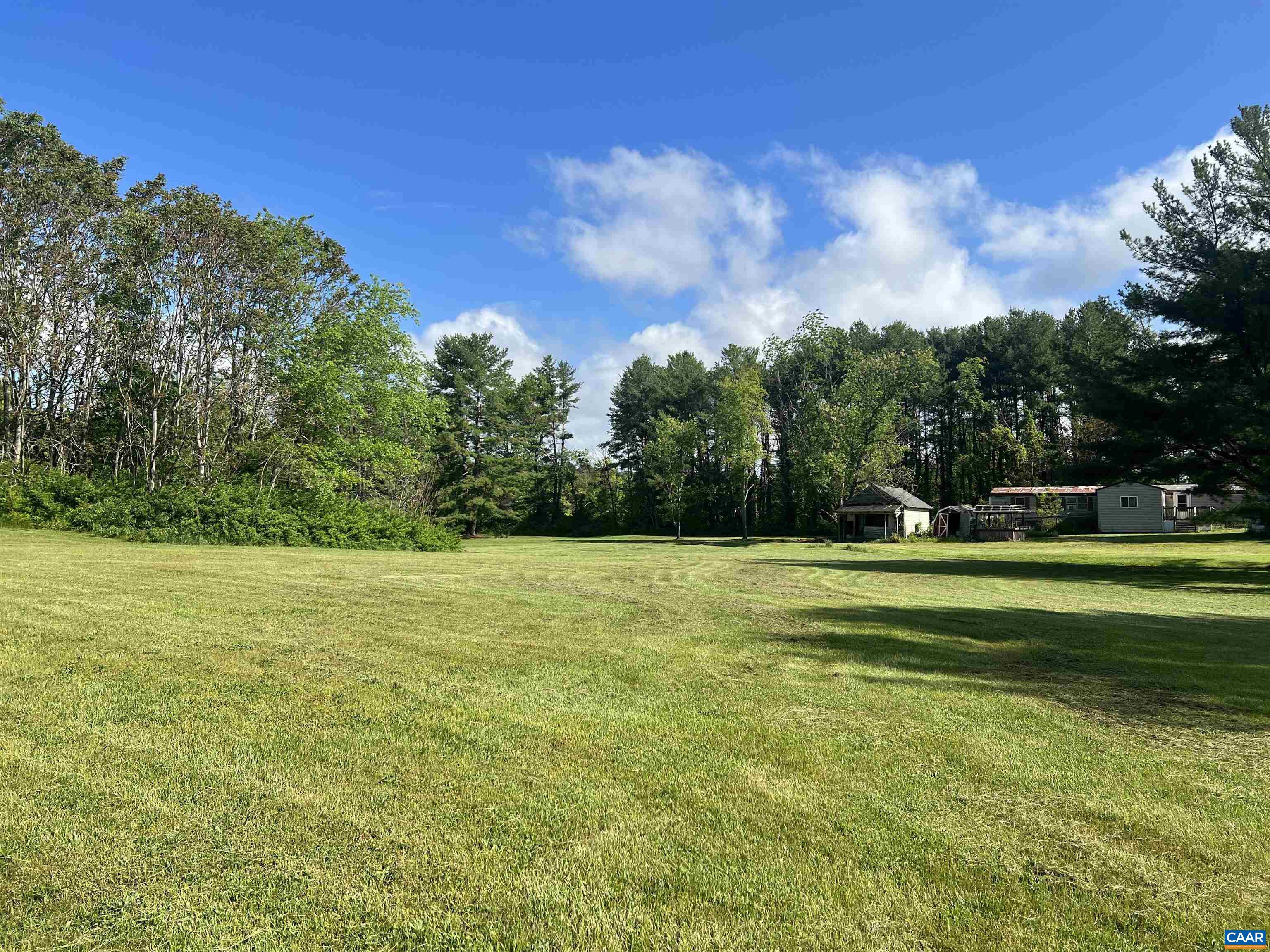 19 Mathews Lane Lyndhurst, VA 22952 - Photo 68 of 70 a view of a big yard with a large tree
