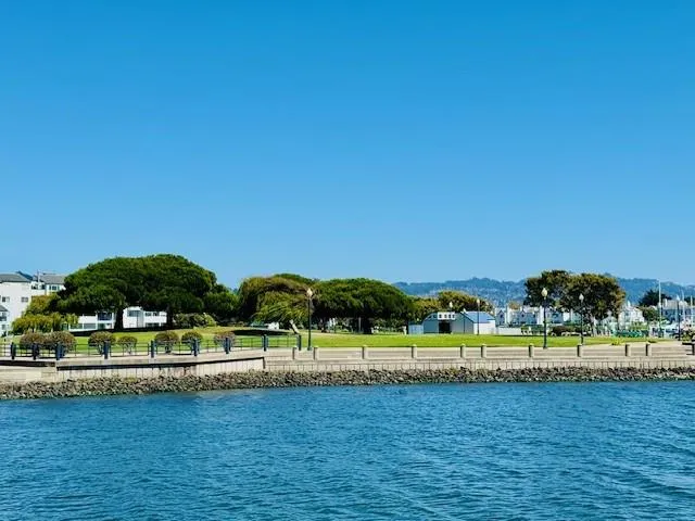 a view of a ocean with boats and trees in the background