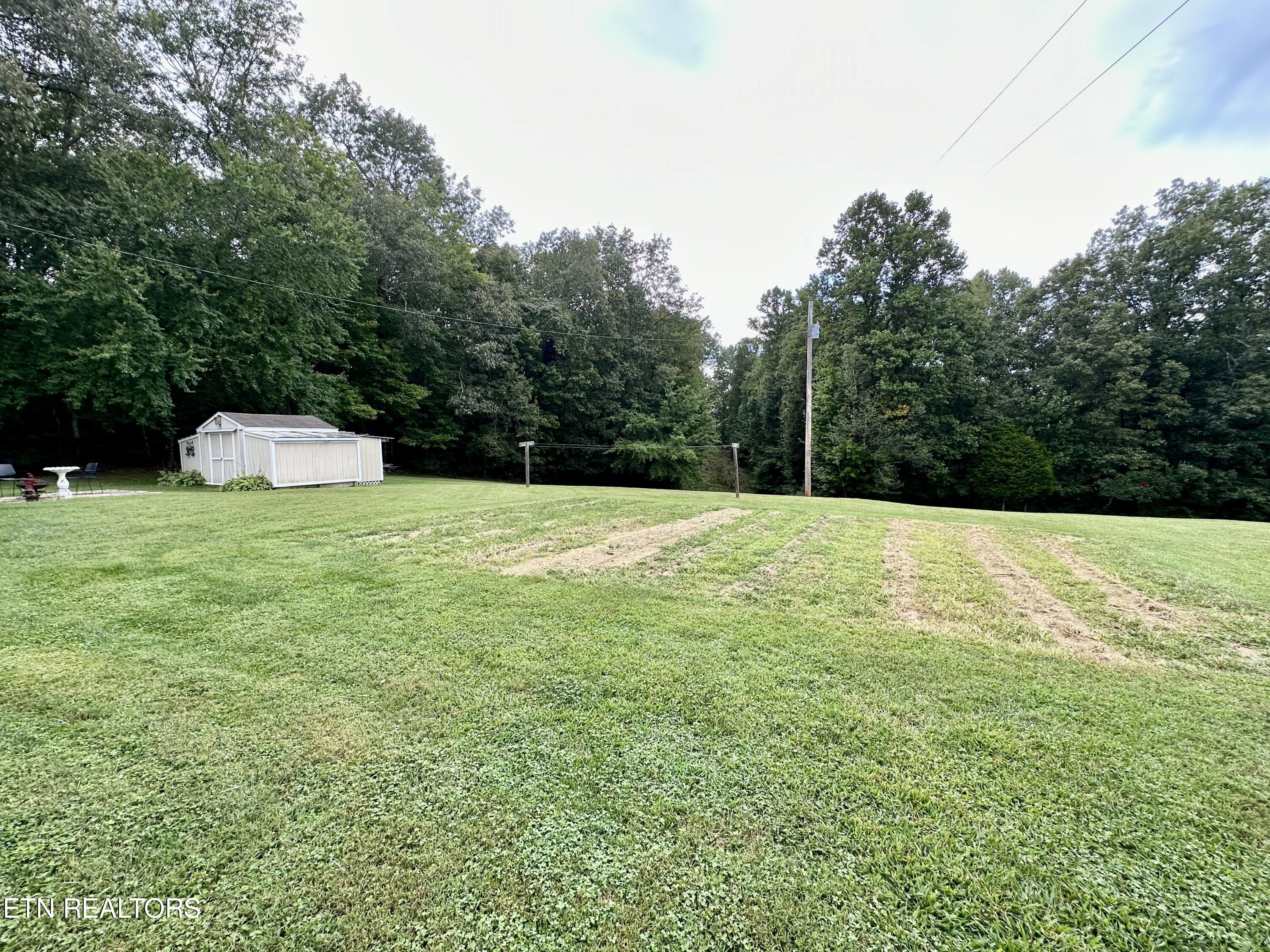 701 Red Hill Road Sunbright, TN 37872 - Photo 16 of 18 IMG-2225