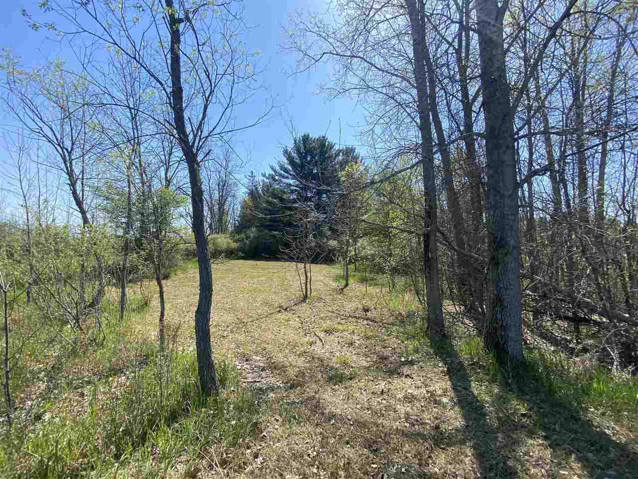 1800 Chappel Dam Road Gladwin, MI 48624 - Photo 3 of 19 Gallery Image 3