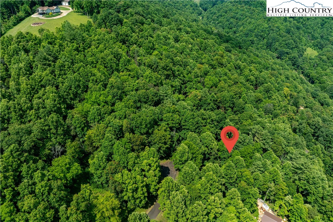 Lot 21 Lake Ridge Road Butler, TN 37640 - Photo 21 of 25