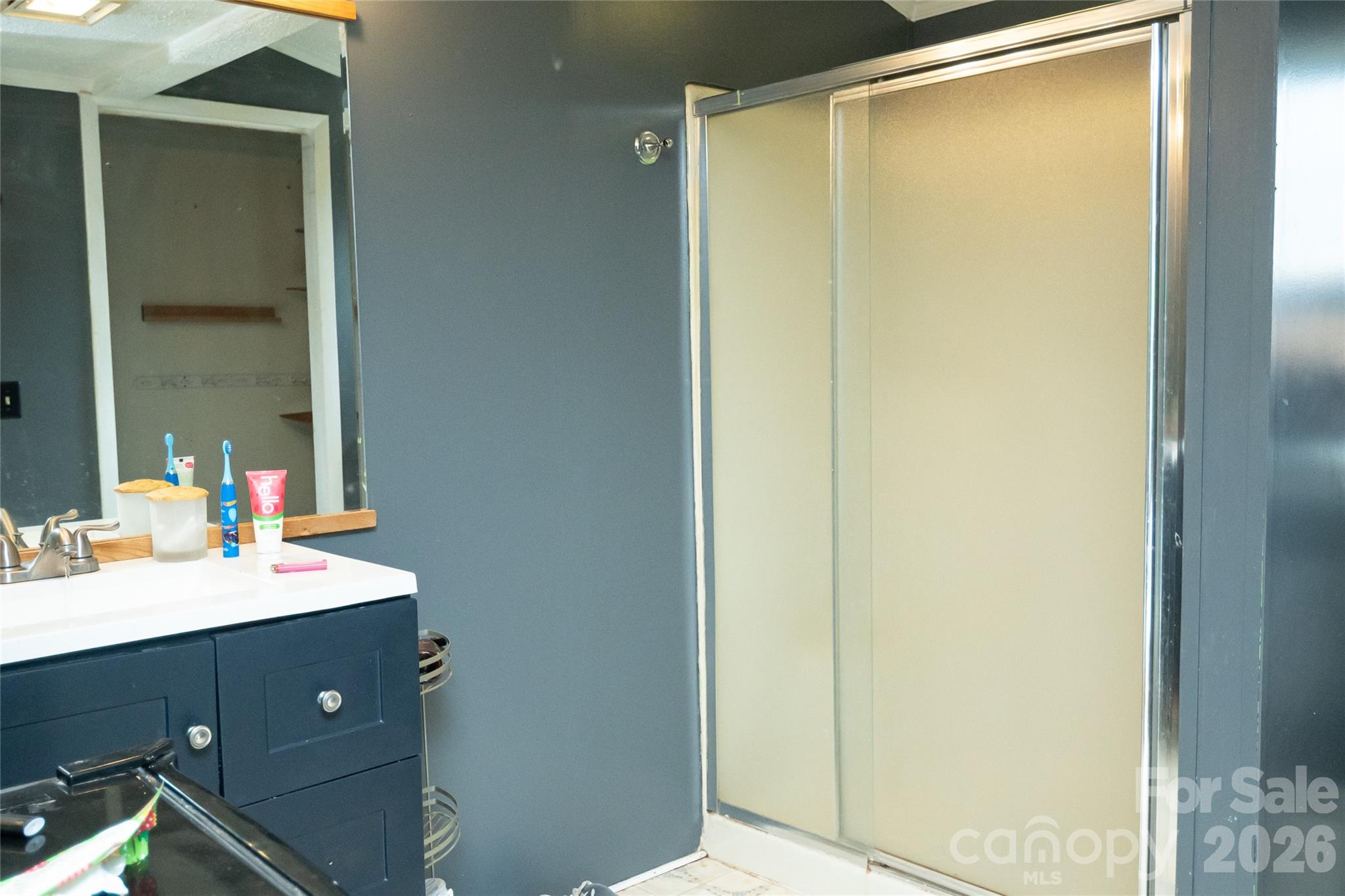 910 Summit Ridge Road Purlear, NC 28665 - Photo 20 of 25 a bathroom with a sink mirror and vanity
