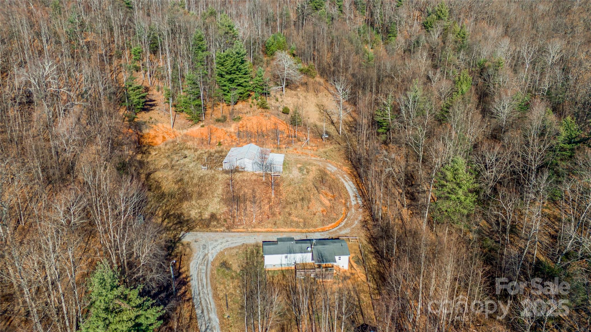 910 Summit Ridge Road Purlear, NC 28665 - Photo 24 of 28 a close up of a plant in a forest