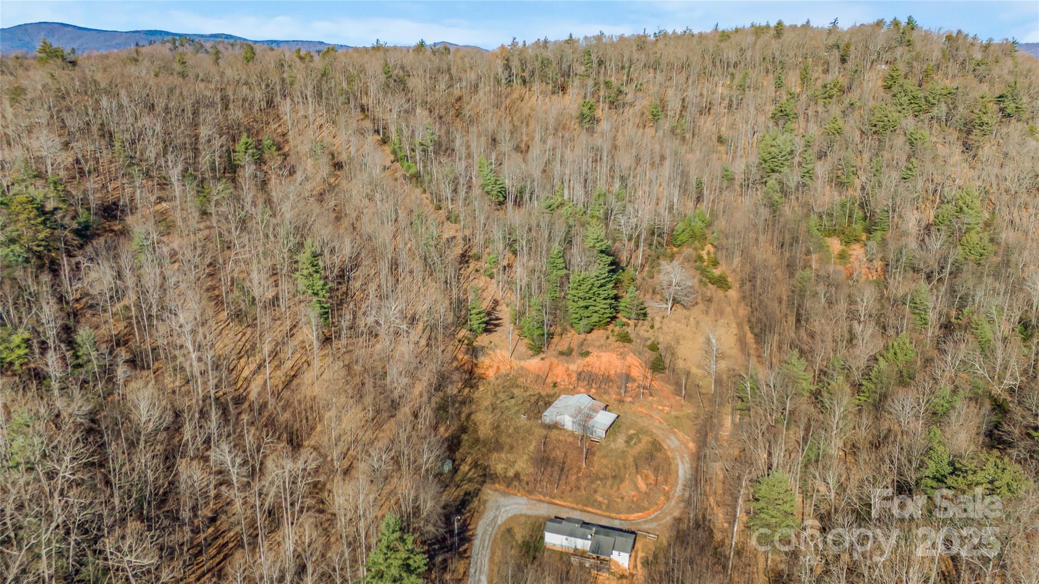 910 Summit Ridge Road Purlear, NC 28665 - Photo 26 of 28 a view of a yard