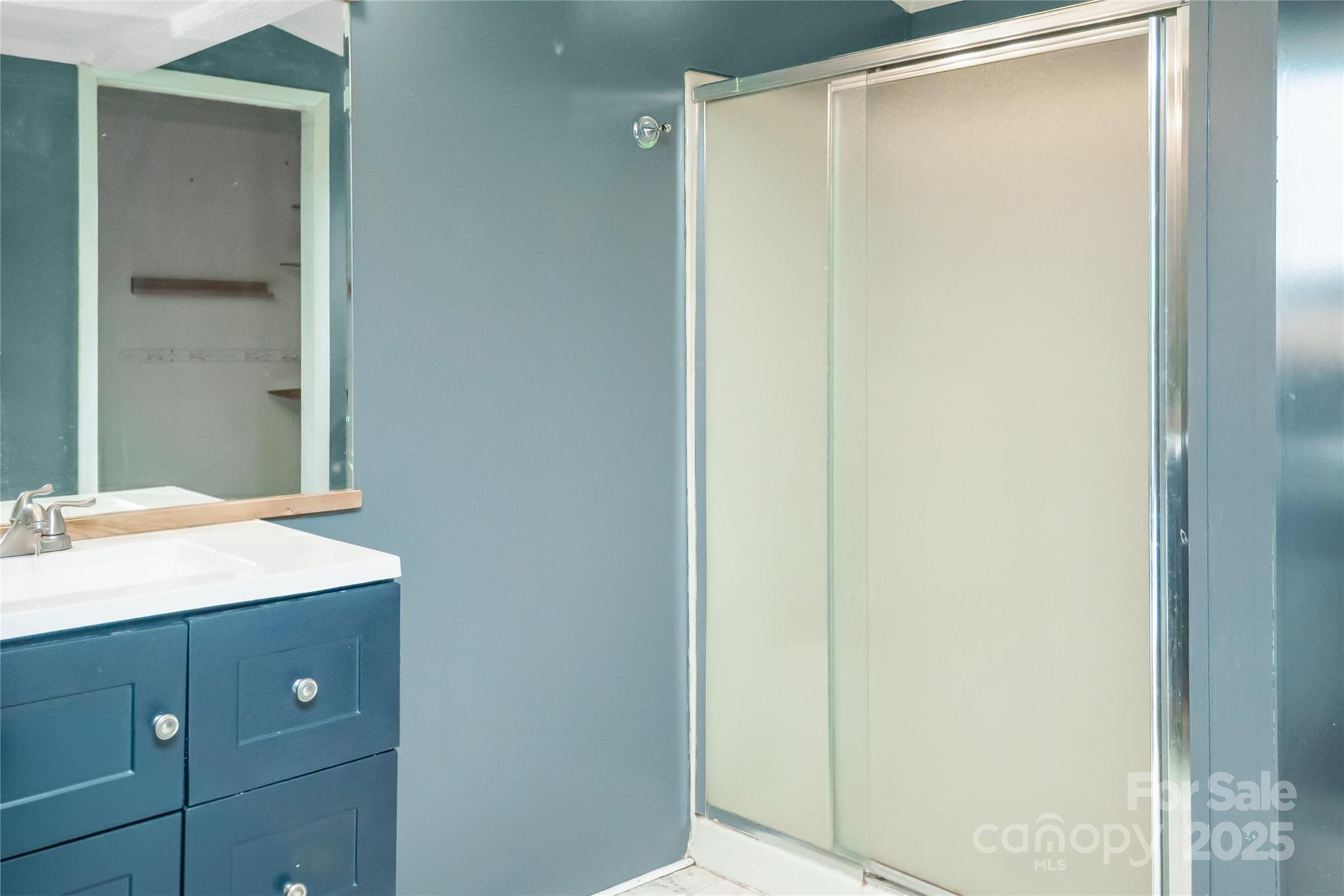 910 Summit Ridge Road Purlear, NC 28665 - Photo 10 of 28 a bathroom with a shower and a sink