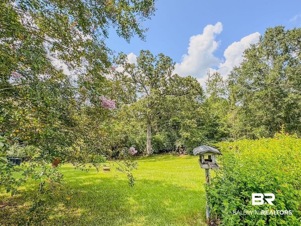 1456 Allen Walker Road Grove Hill, AL 36451 - Photo 6 of 28 View of grassy yard