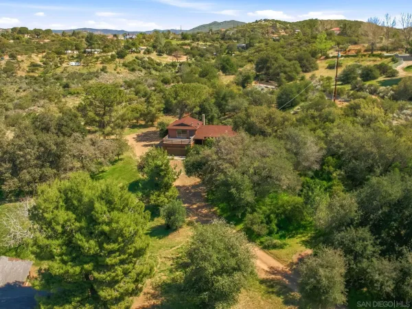 a view of a city with lush green forest