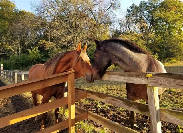 $1,299,000 | 132 Lakeshore Drive West, Lake Quivira, KS 66217