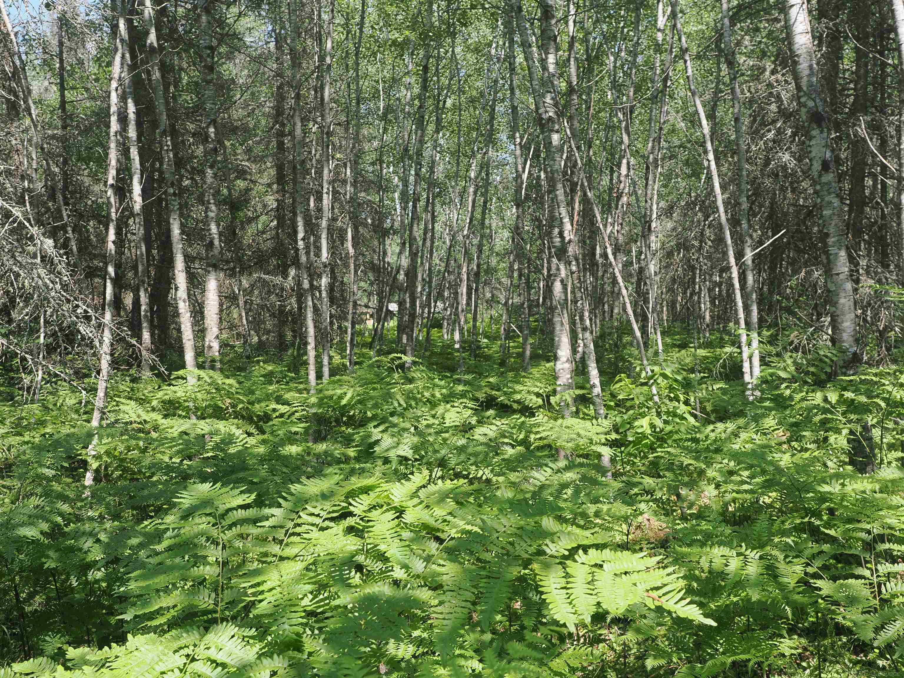 0 County Road Ishpeming, MI 49849 - Photo 41 of 85