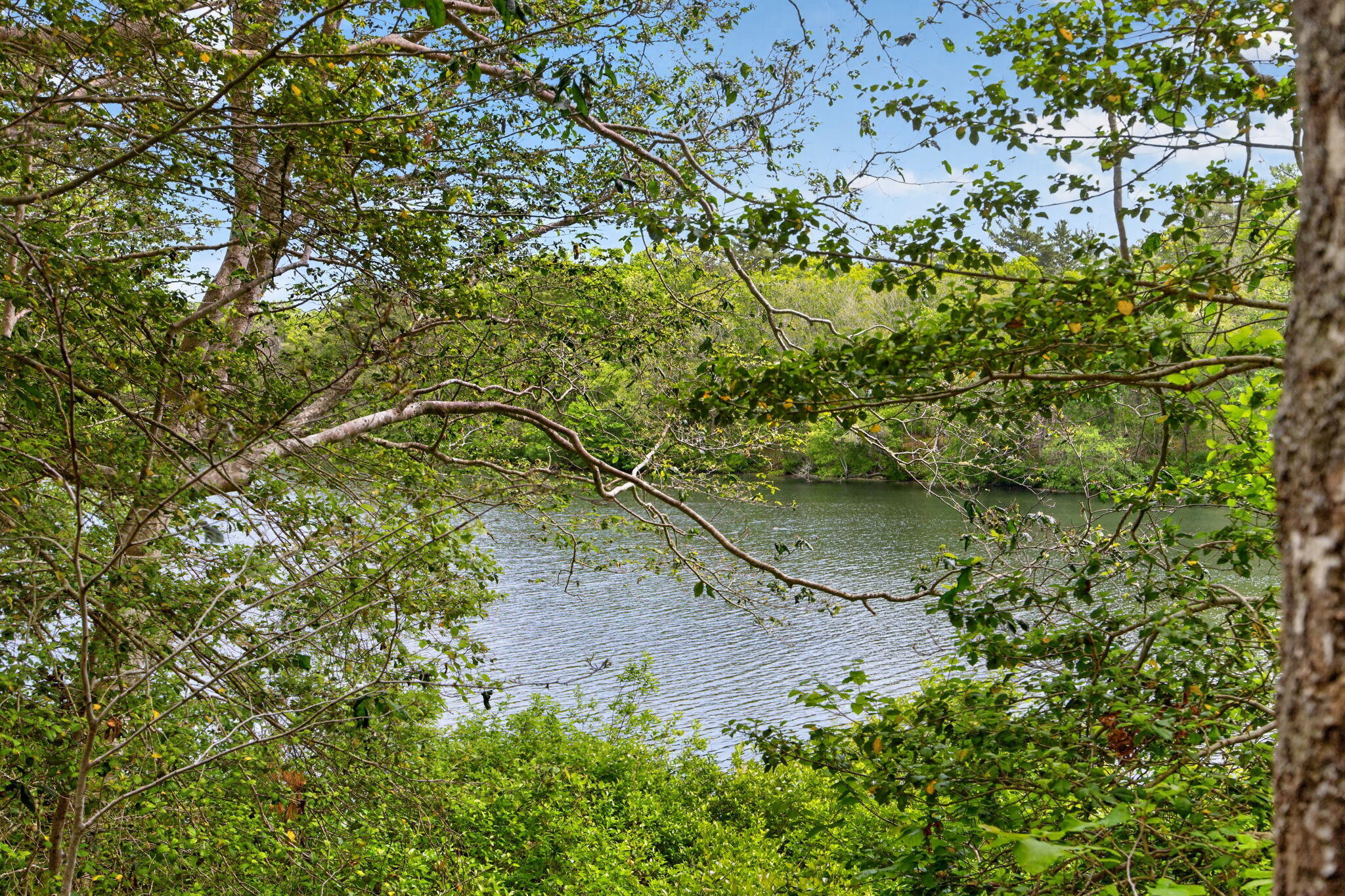 20 Hirsch Road Forestdale, MA 02644 - Photo 19 of 27 25-PF0A2475