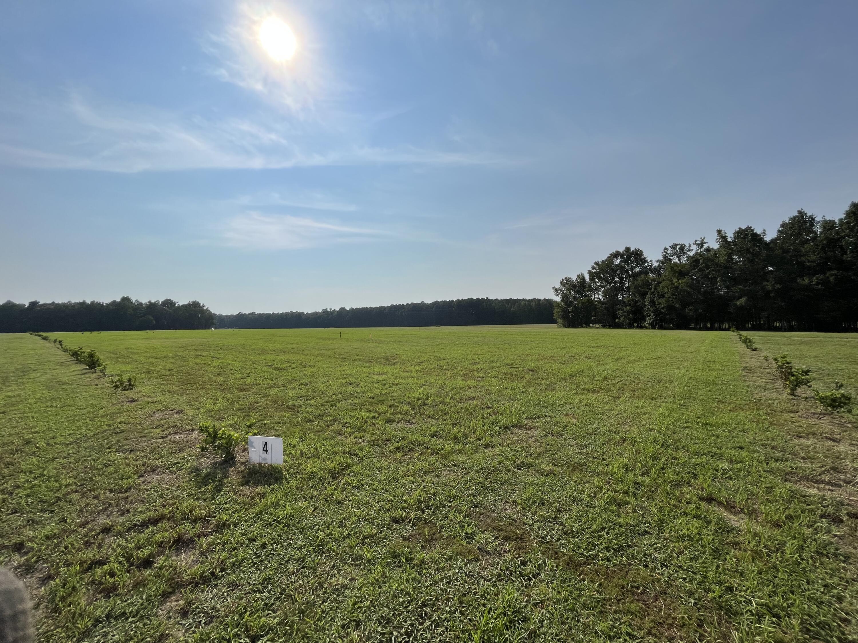 522 High Plains Ridgeville, SC 29472 - Photo 3 of 9 IMG_4901