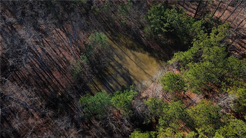 7167 McCurley Road Acworth, GA 30102 - Photo 2 of 5