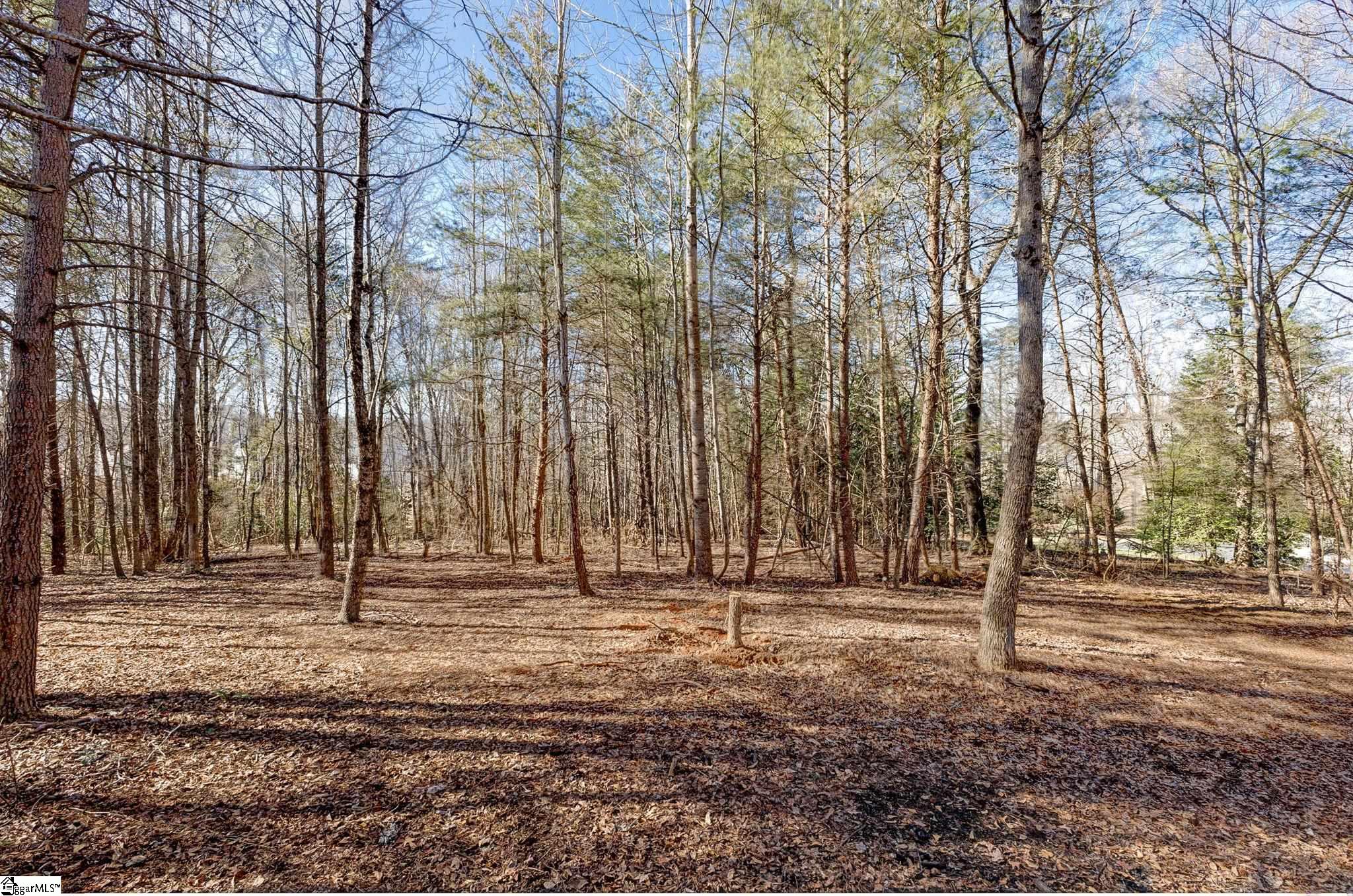 165 Commodore Drive Duncan, SC 29334 - Photo 46 of 49