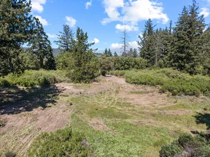a view of a dirt pathway both side of a yard