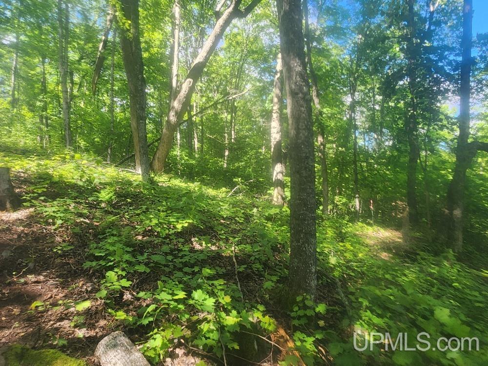 Tbd West Tamarack Lake Road, Unit LOT 5 Watersmeet, MI 49969 - Photo 27 of 66