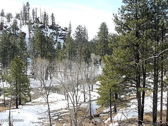 a view of forest