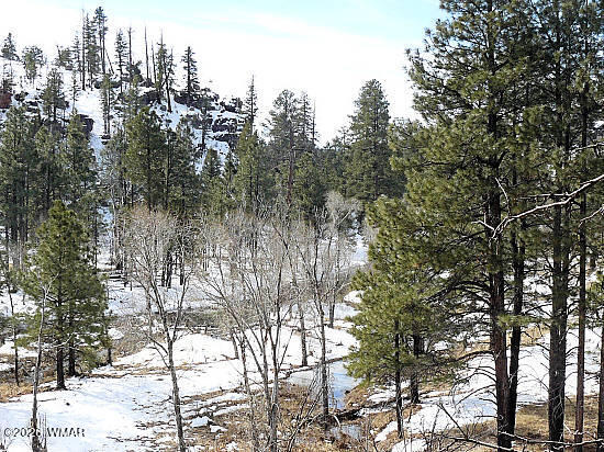 3369 Windy Heber, AZ 85928 - Photo 1 of 4 a view of forest