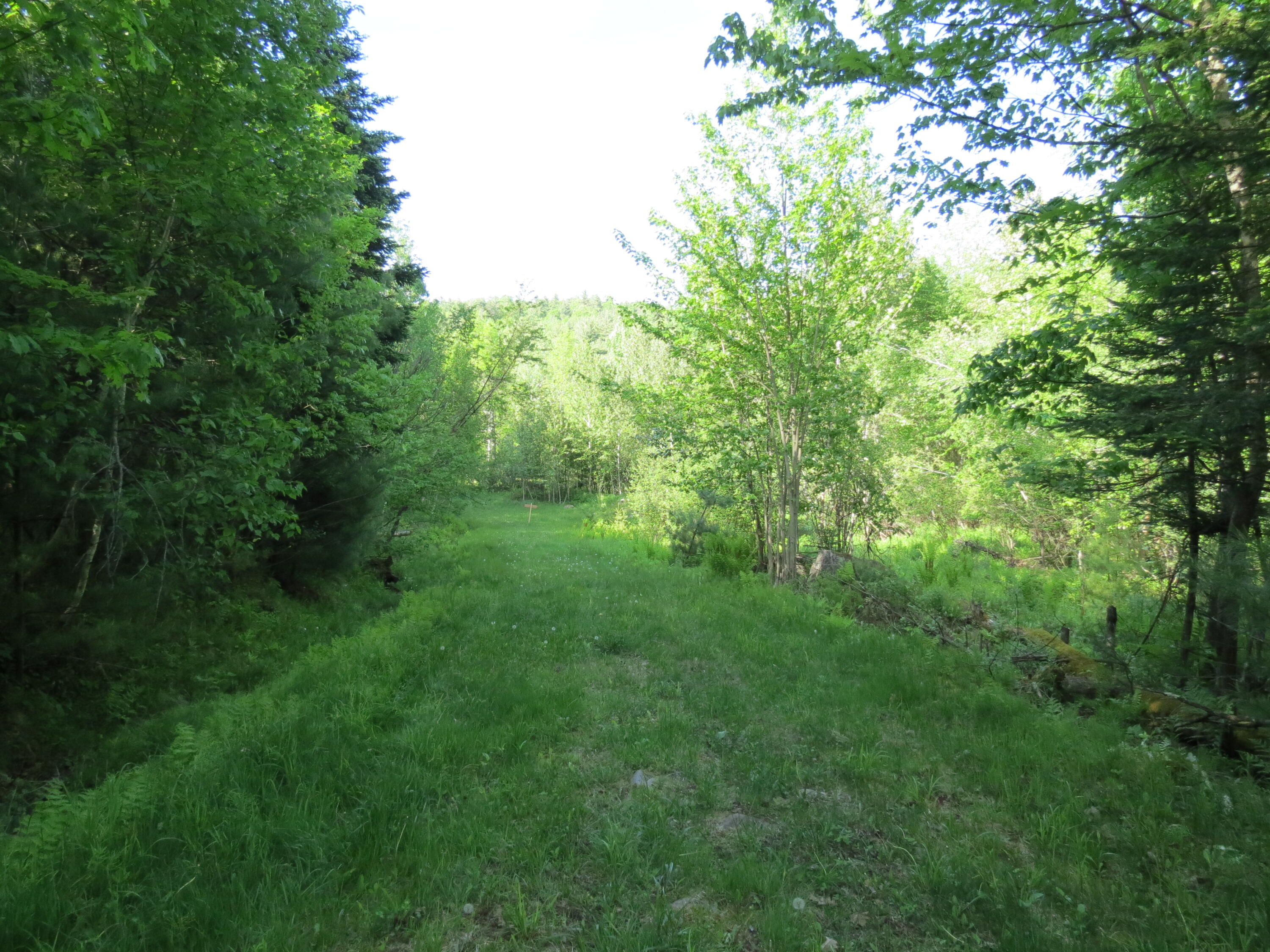 0 Trumbulls Road Upper Jay, NY 12987 - Photo 17 of 22