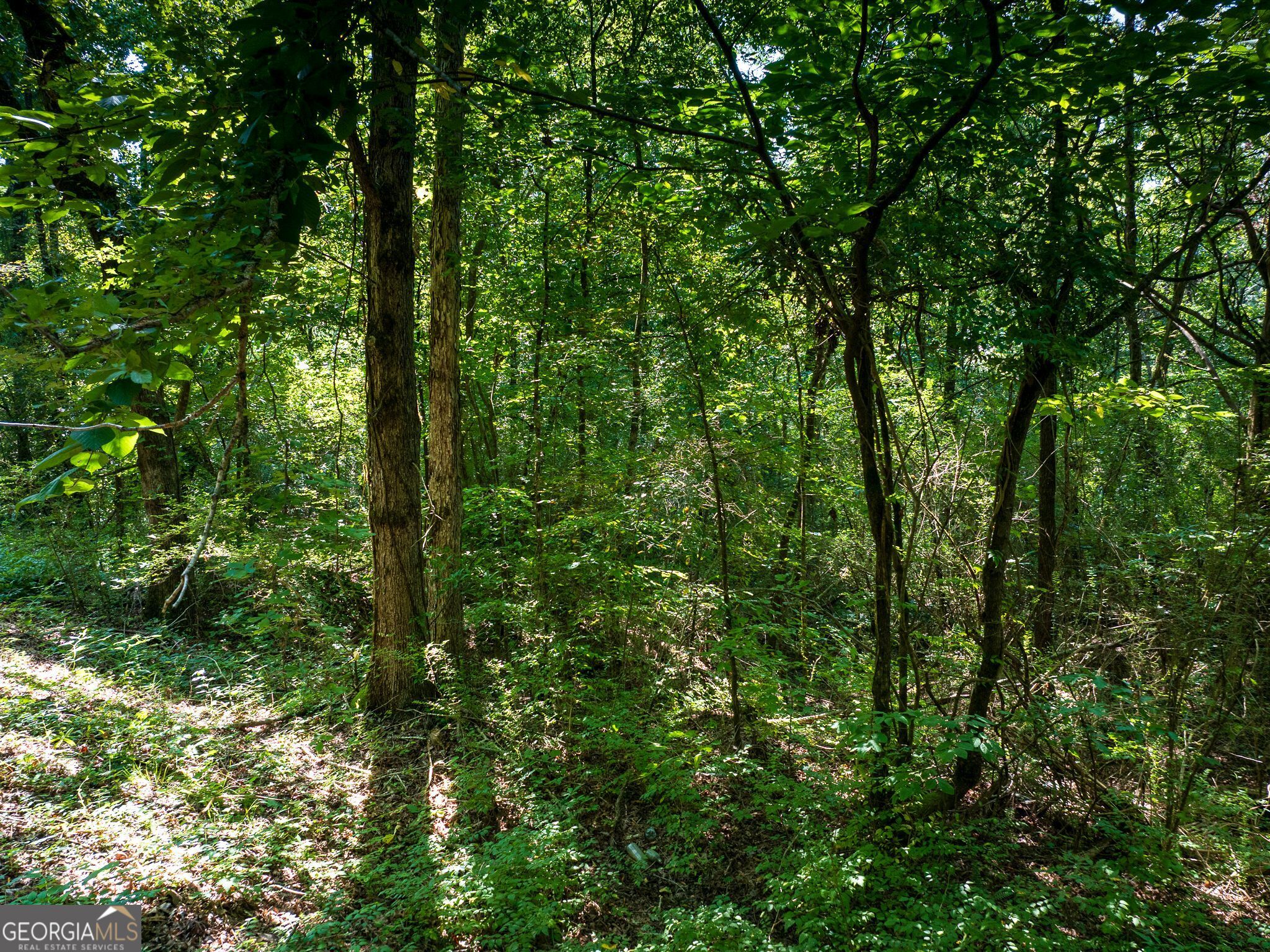 1973 Warrior Trafford Road Warrior, AL 35180 - Photo 48 of 82 Gallery Image 48