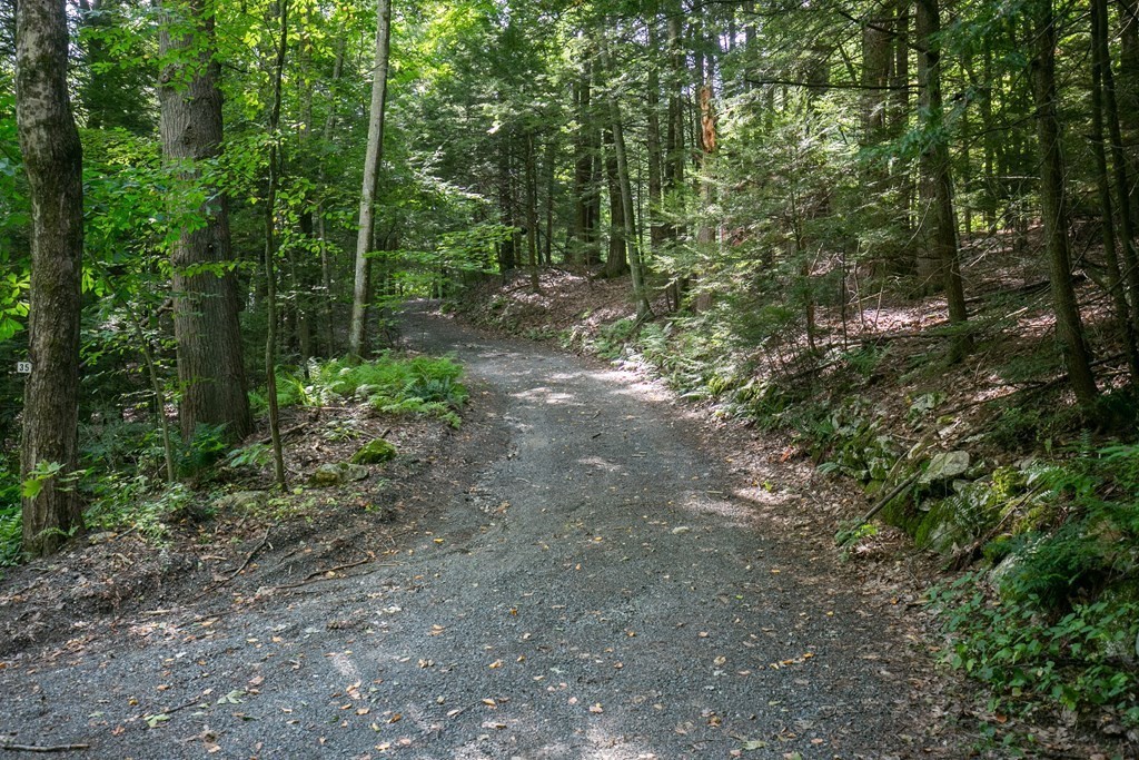 35 Juggler Meadow Road Leverett, MA 01054 - Photo 2 of 40 a view of forest
