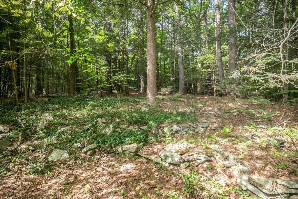 35 Juggler Meadow Road Leverett, MA 01054 - Photo 36 of 40 a big yard with lots of green space and trees