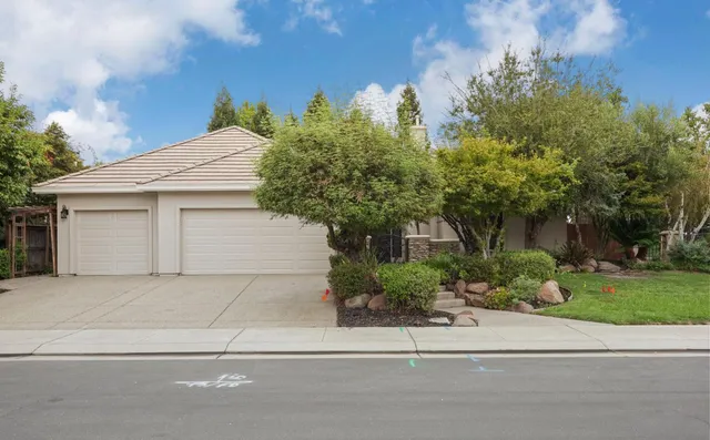 a view of a garden with a pathway