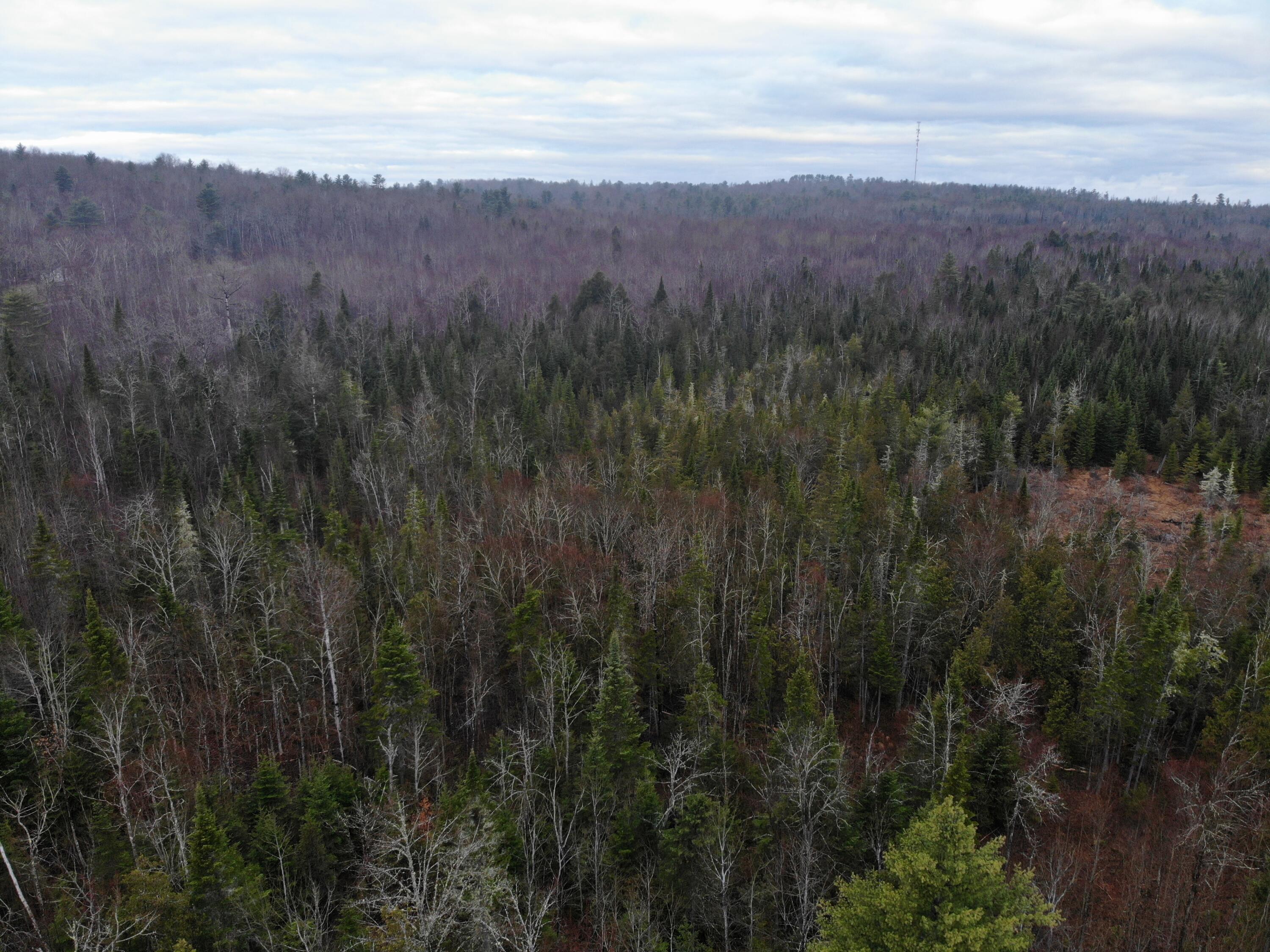 Map5-lot1 Silvers Mills Road Sangerville, ME 04479 - Photo 7 of 33