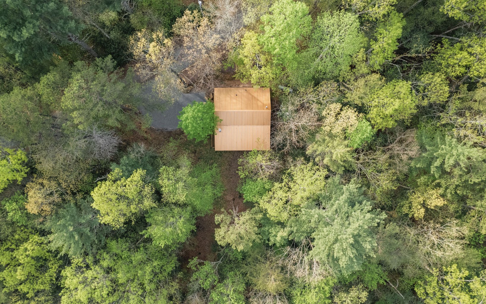 1311 Little Bushy Head Road Blue Ridge, GA 30513 - Photo 38 of 39 an aerial view of a house with a yard and garden