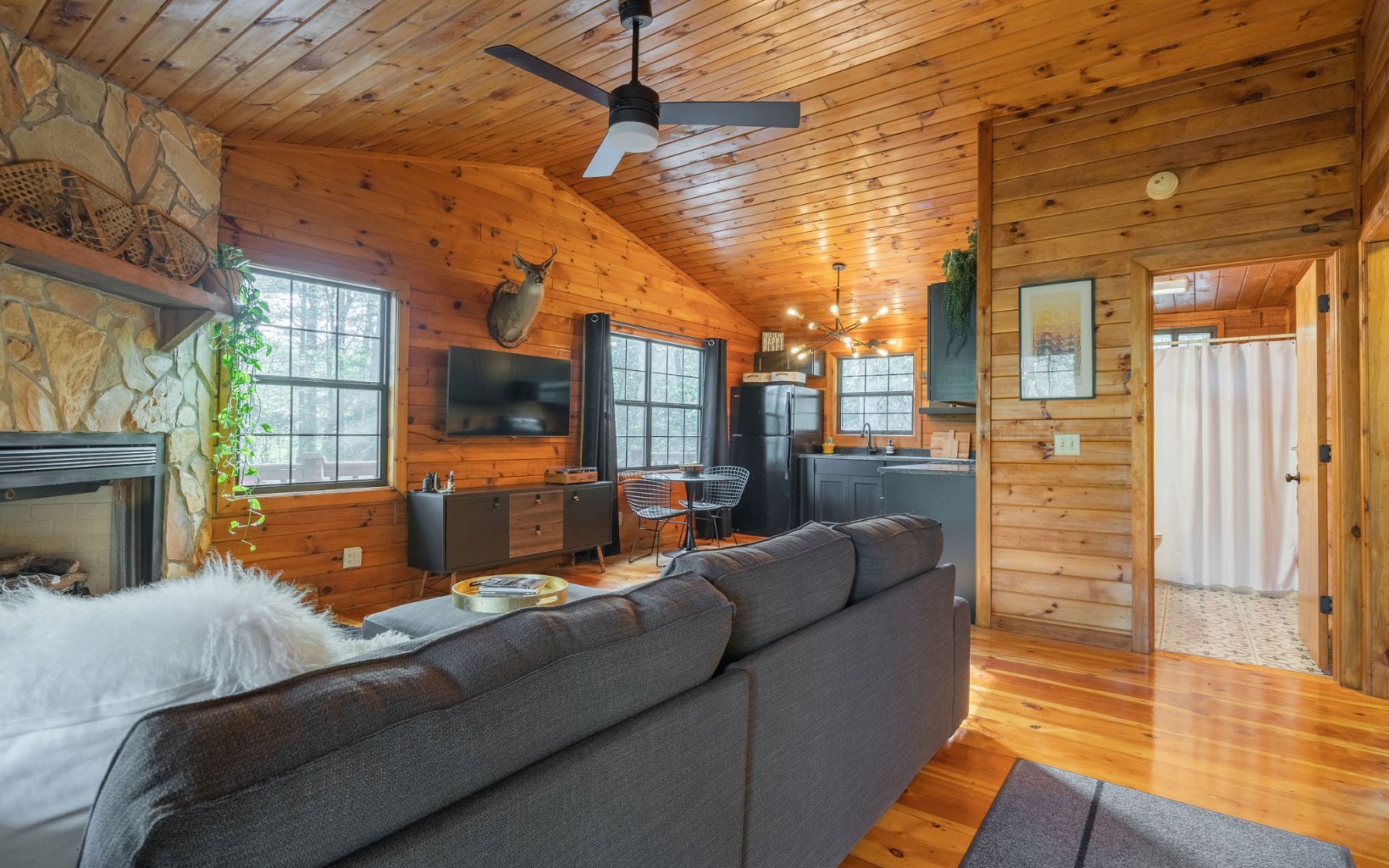 1311 Little Bushy Head Road Blue Ridge, GA 30513 - Photo 7 of 39 a living room with furniture and a flat screen tv