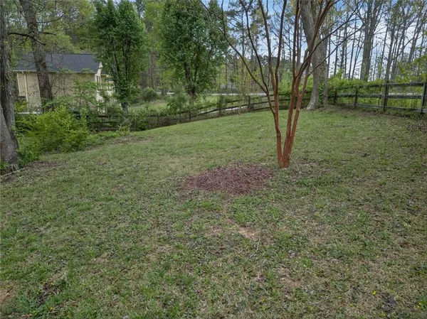 a view of a tree in a yard