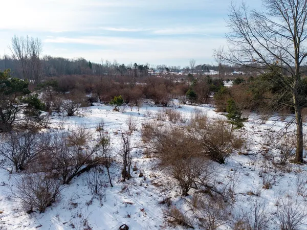 $64,900 | V/l North Monroe Road, Hart, MI 49420