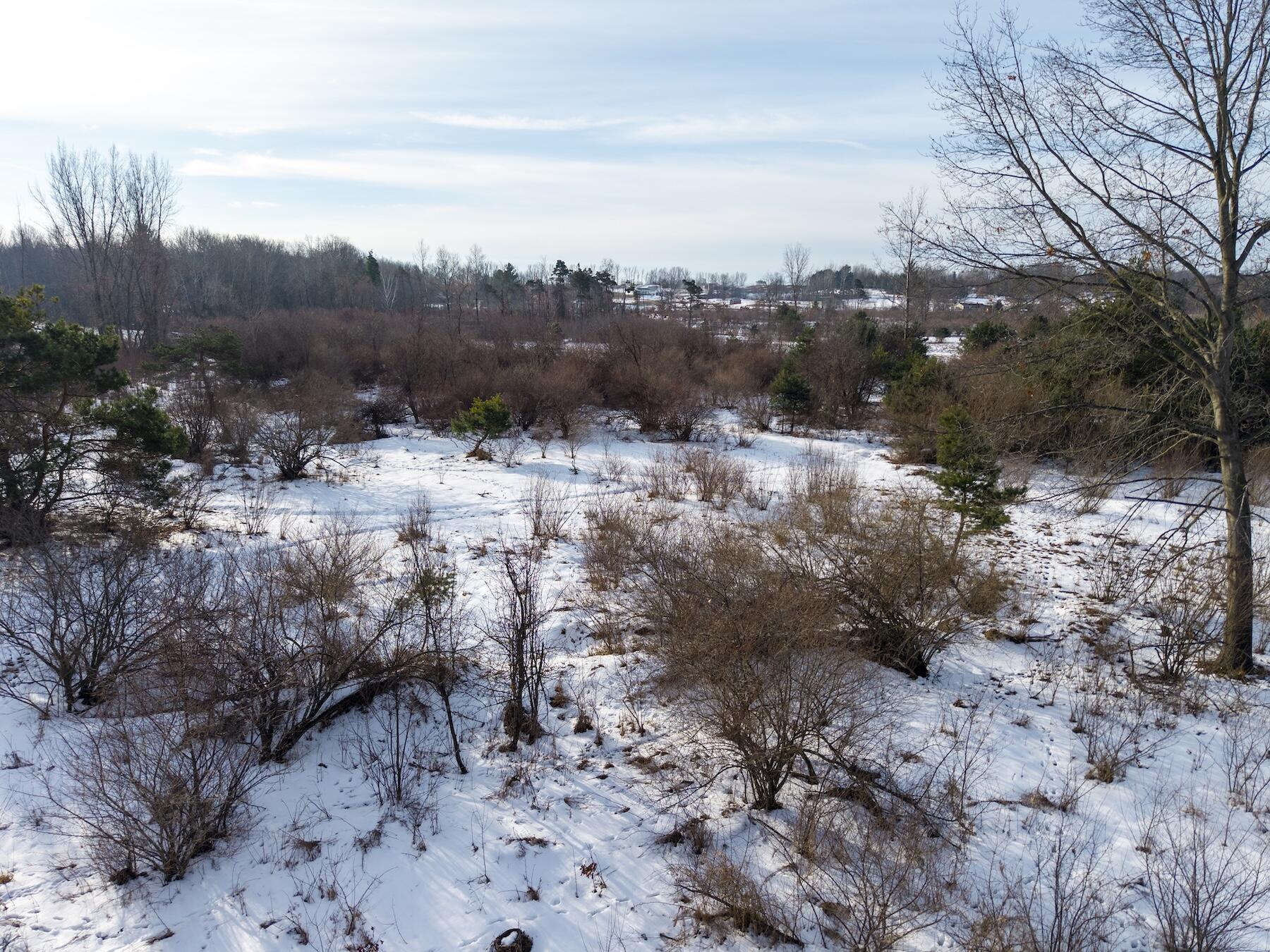 V/l North Monroe Road Hart, MI 49420 - Photo 5 of 11 North88thAvenue_HartMI_061