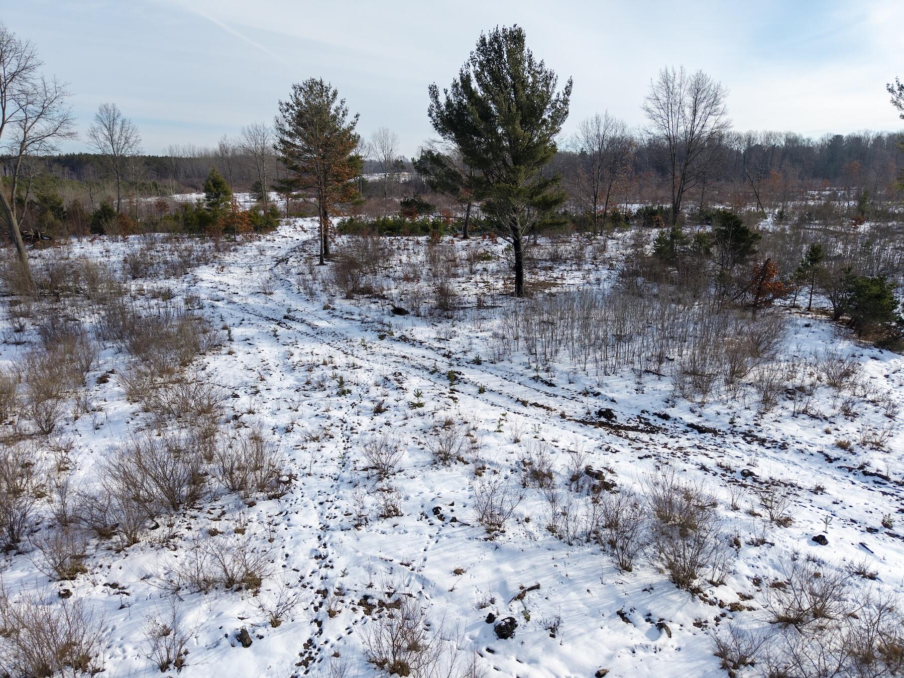 V/l North Monroe Road Hart, MI 49420 - Photo 6 of 11 North88thAvenue_HartMI_073