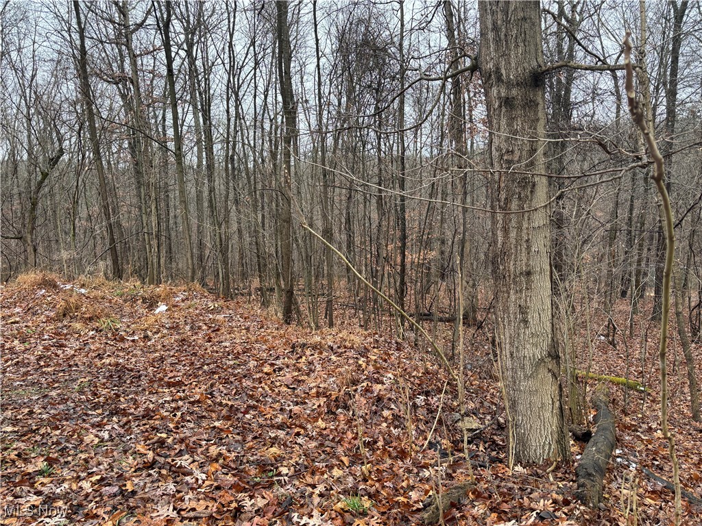Pert Hill Road Hopewell, OH 43746 - Photo 3 of 3
