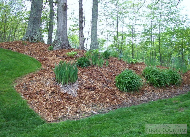 200 Whenlin Ridge Road Lansing, NC 28643 - Photo 12 of 23